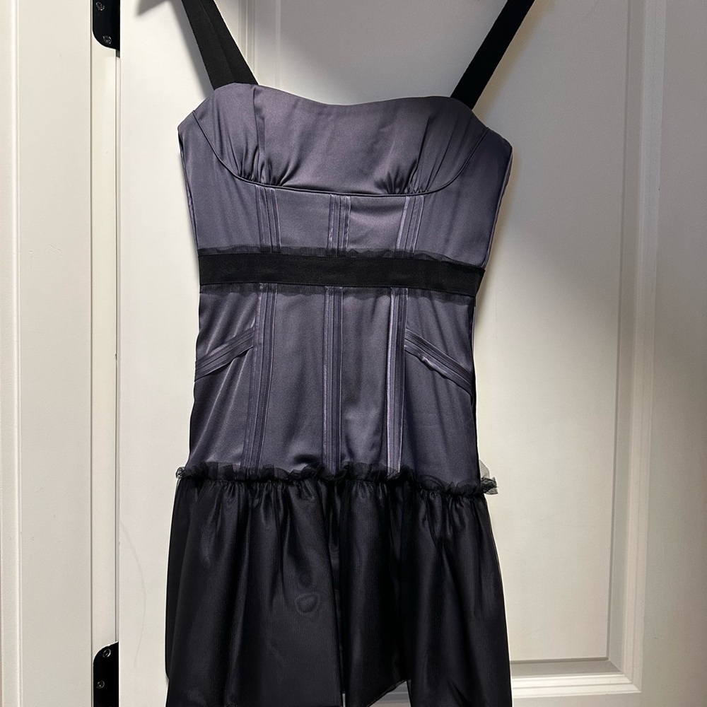BCBGMaxAzria Gray and Black Satin Bustier Dress